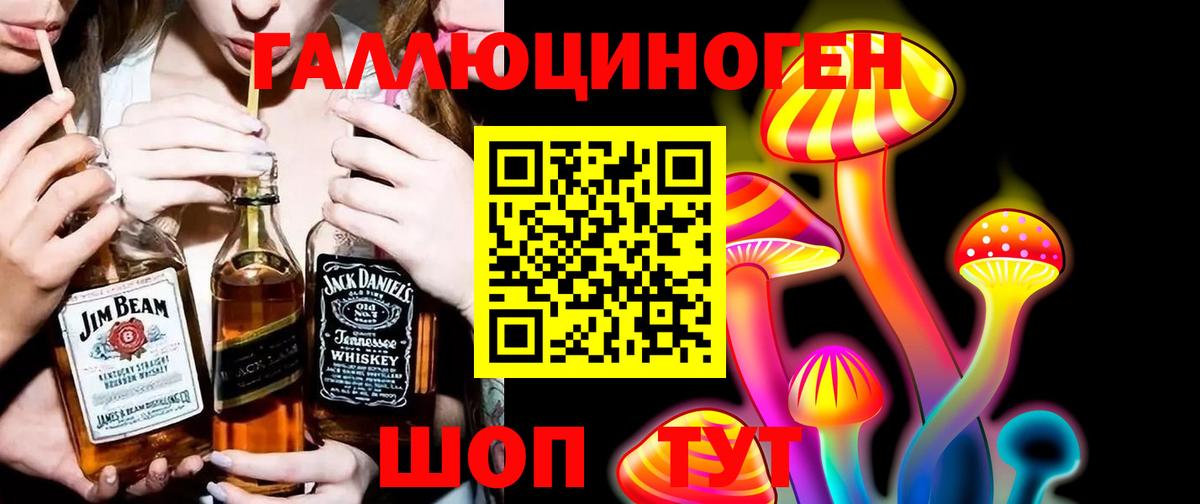 как найти закладки  Галлюциногенные грибы мицелий  Вход с VPN  Старая Купавна  Псилоцибиновые грибы Psilocybine cubensis 